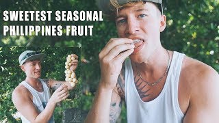 Tasting SWEETEST SEASONAL Fruit Lanzones  Camiguin Philippines [upl. by Lanaj]