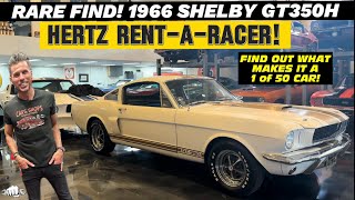 1966 Shelby GT350H Why Is This HERTZ RENTARACER One Of The Rarest [upl. by Aivon]