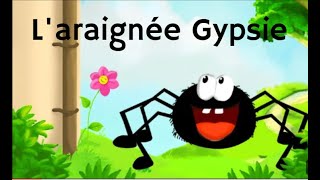 Laraignée Gypsie [upl. by Naval]