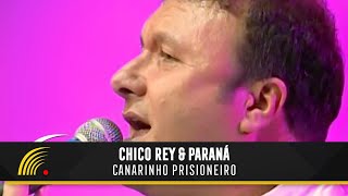 Chico Rey amp Paraná  Canarinho Prisioneiro Marco Brasil 10 AnosVídeo Oficial [upl. by Magnien]