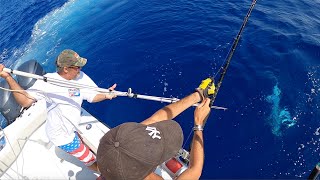 AMAZING HARPOON SHOT on a BIG SWORDFISH [upl. by Atikaj]