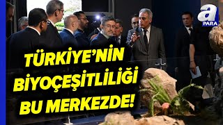 Çukurovaya Biyoçeşitlilik Tanıtım Merkezi  A Para [upl. by Akirehs]