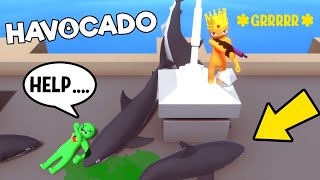 Ragdolls VS Sharks  Havocado Gameplay [upl. by Norrad983]