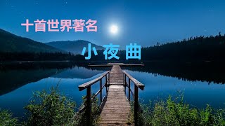 十首著名小夜曲 Ten Famous Serenades蕭邦Chopin Serenade海顿 Haydn布拉姆斯 Brahms【YouTube西洋音乐】西洋音乐古典音乐 [upl. by Triley]