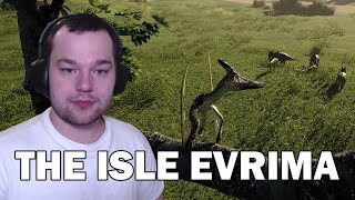 The Pteranodon Solo Survival Experience  The Isle Evrima [upl. by Yert]