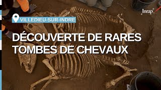 Des chevaux gaulois ontils été sacrifiés à VilledieusurIndre Indre [upl. by Aneba867]