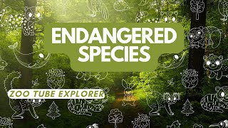 Endangered Species [upl. by Ilsa]