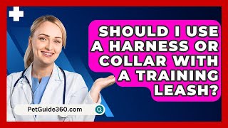 Should I Use a Harness or Collar with a Training Leash  PetGuide360com [upl. by Aisenat]