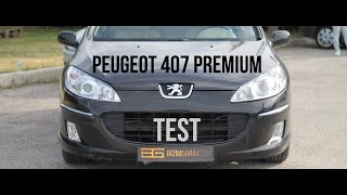 Peugeot 407 SW 20HDi 136hp [upl. by Ihsir]