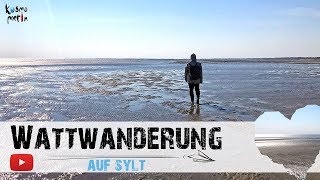 Wandern durch das Wattenmeer auf Sylt [upl. by Savory]