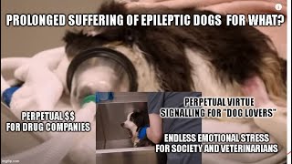 Dog had a seizure Side Effects Barking Dog Culture self inflicted suffering for profit [upl. by Gardie37]