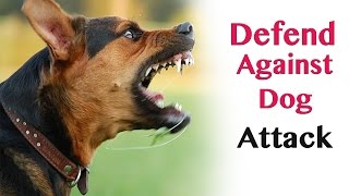 Defend against dog attack  self defence [upl. by Abeu]