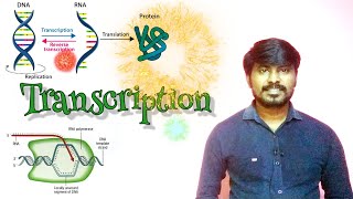 Transcription  Molecular Biology  Class 12  Neet Biology [upl. by Alleyne]