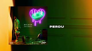 DADJU  Perdu Audio Officiel [upl. by Nodnarbal647]