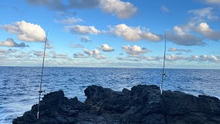 Hawaii Fishing pt5 [upl. by Doro]