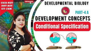 Conditional Specification 1  Basics of Developmental Biology  Developmental Biology CSIR NET [upl. by Eednar]