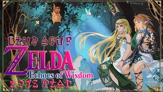 Zelda  Smog amp le Temple de Firone  22  EchoesOfWisdom  Lets Play  FR blueazur [upl. by Yromem]