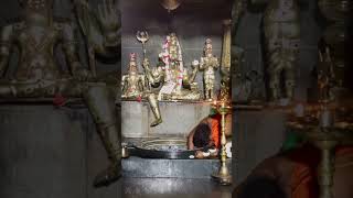 SRI SIDDARAMESHWARA SWAMY  BHIKNOOR  trending kamareddy devotional [upl. by Wilfreda]