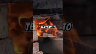 Vacío y bondiola al disco shorts asado parrilla [upl. by Mathre]