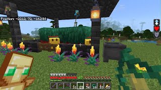 Allays greating me with morning seeds  Minecraft [upl. by Jo Ann]