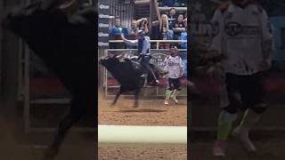 Deadwood South Dakota PBR Professional Bull Riding 2023 shorts bullriders bulls pbr deadwood [upl. by Kayne]