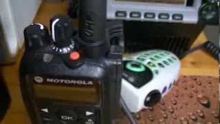 MOTOROLA XTL5000 MOBILE UNITS 05 REMOTE HEAD FULLFEATURE BACKLIT MIC iBUTTON MOTOTRBOS AND NEWS [upl. by Calabresi69]