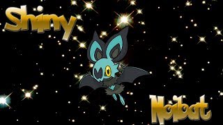 Shiny Noibat  SOSAlly Hunting Method  Pokémon Ultra Sun and Ultra Moon [upl. by Diarmit]