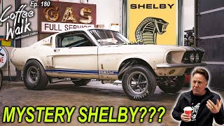 HELP MYSTERY SHELBY MUSTANG [upl. by Arretal45]