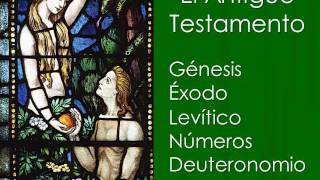 Biblia de Estudio Palabra Clave [upl. by Oderfodog]