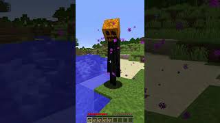 Friendly Enderman vs Pumpkin Feature shorts minecraft meme [upl. by Lelith]