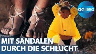 Extreme Schulwege Das Leben der RarámuriKinder und ihr steiniger Schulweg [upl. by Annauj]