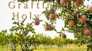 Grafting the Holy Ghost  SSPX Sermons [upl. by Loeb]