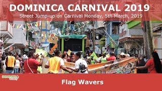 Dominica Carnival 2019 Flag Wavers [upl. by Aivatahs656]