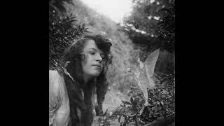 Cottingley Faeries Photos cottingleyfaeries faeries shorts [upl. by Rellim264]