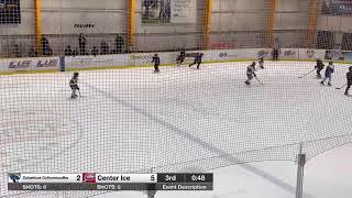 SYTHL Championship Game 3 2262023 12U Atlanta Center Ice vs Columbus Cottonmouths [upl. by Rombert]