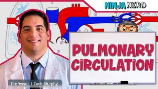 Circulatory System  Pulmonary Circulation [upl. by Enyaj]