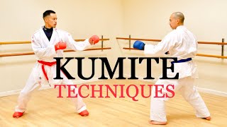 10 ULTIMATE KUMITE TECHNIQUES 🥋⛩ [upl. by Aicak]