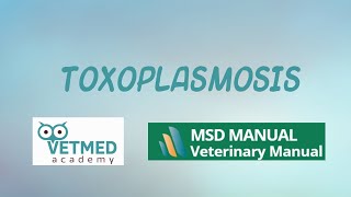 Toxoplasmosis [upl. by Fanchie128]