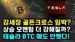 비트코인 이평선 골든크로스로 상승 모멘텀 강화될까 테슬라 BTC 매도 안했다 거시경제 대선 불확실성 리플 솔라나 이더리움 [upl. by Gill]