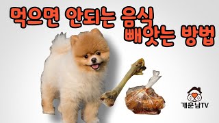 강아지가 먹으면 안되는 음식이나 물체를 물고 도망가거나 빼앗기지 않으려고 덤비는 행동 이렇게 1주일만 반복하면 고칠 수 있습니다 [upl. by Lauhsoj]