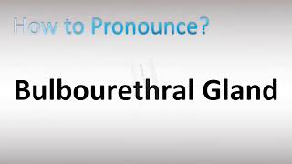 How to Pronounce Bulbourethral Gland [upl. by Saref971]