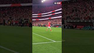 ⚽ Aktürkoğlu 10 • slbrafc ligaportugalbetclic golo goal benfica slbenfica [upl. by Ajat258]