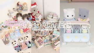 Calico critters [upl. by Hawker]