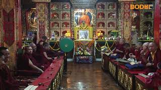 HH The 41st Sakya Trichen Rinpoche  Offering of Long Life Puja By Mustang Tenzhug DAY 1 [upl. by Oballa]