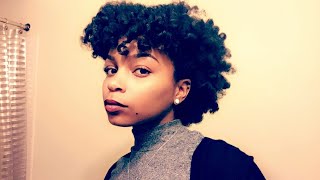 Two Strand Twist Tutorial On Transitioning Natural Hair [upl. by Eimaral]