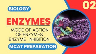 Mcat Biology Class 2  MODE OF ACTION OF ENZYMES AND ENZYMES INHIBITION [upl. by Richara]