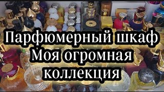 Парфюмерный шкафМоя коллекция ароматов на 30122022Финальный отчет [upl. by Durante]