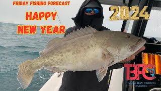 New Year Friday Fishing Forecast Tampa Bay Fishing [upl. by Lepine564]