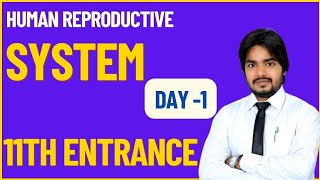 Human Reproductive System Class 10th NCERT  11th Entrance Science Day  1 [upl. by Paul793]