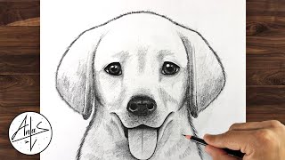 How To Draw a DOG GOLDEN LAB PUPPY  Drawing Tutorial [upl. by Ewens]